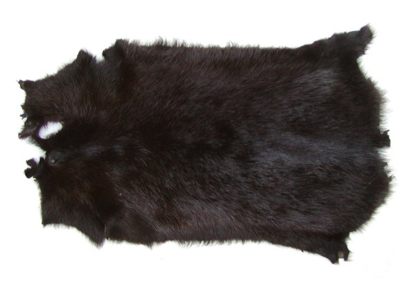 großes Nutriafell schwarzbraun natur für Bekleidung, Fellkragen, Pelzmanschetten, Bastelfell, ca. 60x35 cm