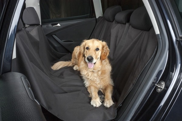 Universal Auto Hundedecke, Rücksitz Schondecke, Transportdecke, 145x165 cm, wasserabweisend, schmutzabweisend