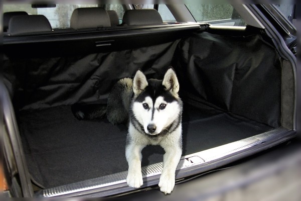 praktische Polyester Kofferraum Auto Schon Decke, Hundematte schwarz 102x70 cm, für Kofferraum+Rücksitzlehnen