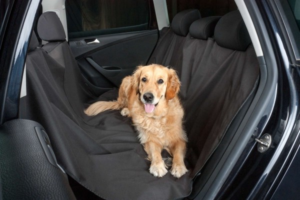 Universal Auto Hundedecke Amy, Rücksitz Schondecke, Transportdecke, 145x165 cm, wasserabweisend, schmutzabweisend