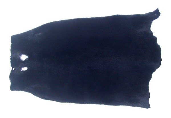 weiches Nutriafell dunkelblau gefärbt für Bekleidung, Fellkragen, Pelzmanschetten, ca. 45 cm lang, 27 cm breit