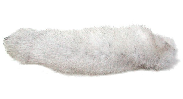 interessanter Fuchsschwanz vom Eisfuchs, für Dekoration und Bekleidung, ca. 35-40 cm, Polarfuchs, Schneefuchs, Weißfuchs