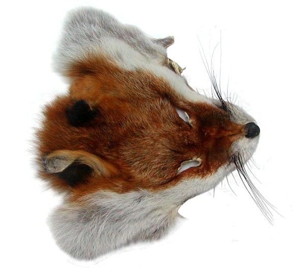 Fuchskopffell vom Rotfuchs, als Accessoires, für Deko, Basteln, ca. 17x19 cm, Rotfuchs Kopffell