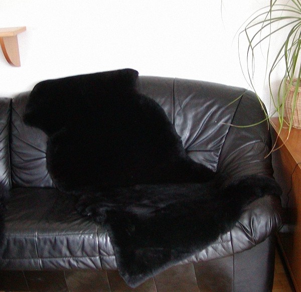 australische Doppel Lammfelle aus 1,5 Fellen schwarz gefärbt geschoren, voll waschbar, ca. 160 cm