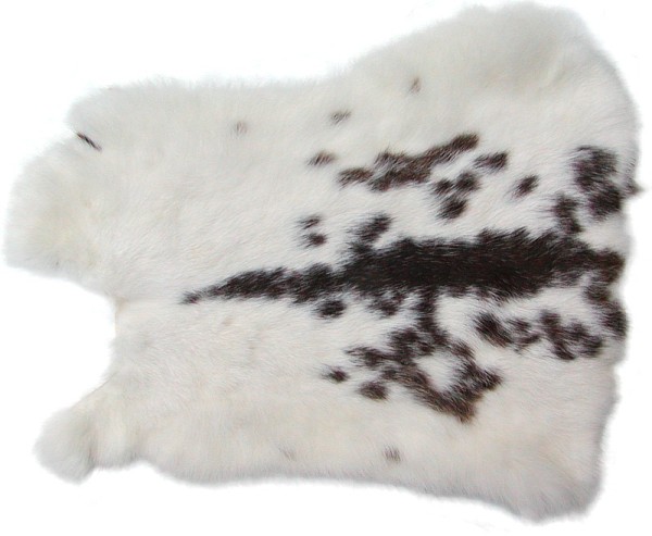 Kaninchenfelle weiß-braun naturfarben, ca. 30x30 cm, Felle vom Kaninchen mit seidigem Haar