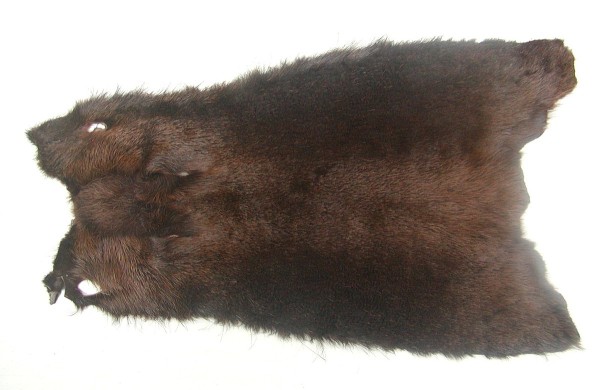 weiches Nutriafell nussbraun gefärbt für Bekleidung, Fellkragen, Pelzmanschetten, ca. 45 cm lang, 27 cm breit